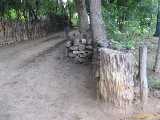 Click to see IMG_1487c.jpg
