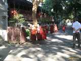 Click to see IMG_1536c.jpg