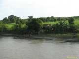 Click to see IMG_1706c.jpg