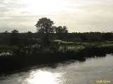 Click to see IMG_1708c.jpg