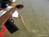 Click to see IMG_1720c.jpg