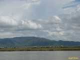Click to see IMG_1784c.jpg