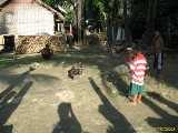 Click to see IMG_1799c.jpg
