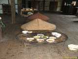 Click to see IMG_1974c.jpg