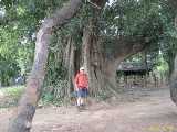 Click to see IMG_2118c.jpg