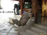 Click to see IMG_2337c.jpg