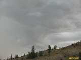 Click to see IMG_0482c.jpg