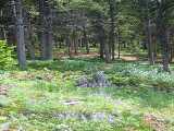 Click to see DSCF2592s.jpg