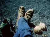 Click to see haw045c.jpg